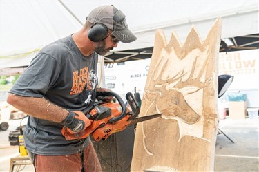 Chainsaw Carving